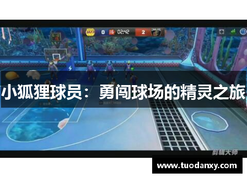 小狐狸球员：勇闯球场的精灵之旅