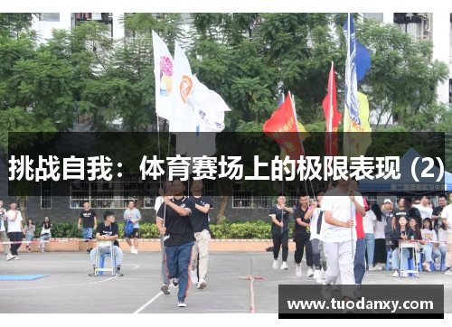 挑战自我：体育赛场上的极限表现 (2)