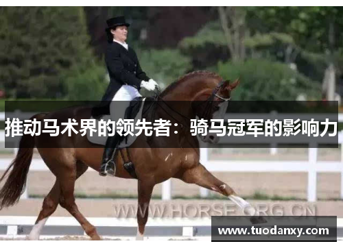 推动马术界的领先者：骑马冠军的影响力