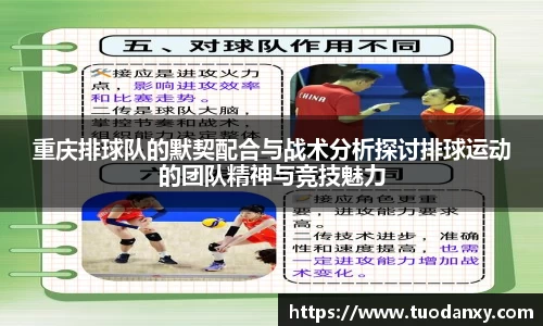 重庆排球队的默契配合与战术分析探讨排球运动的团队精神与竞技魅力